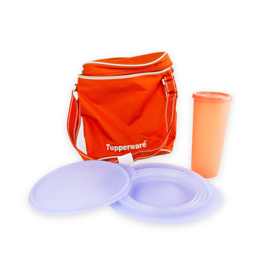 TUPPERWARE PICNIC SET FOR ONE - Bottle, Collapsible Plate with Lid & Carry Bag